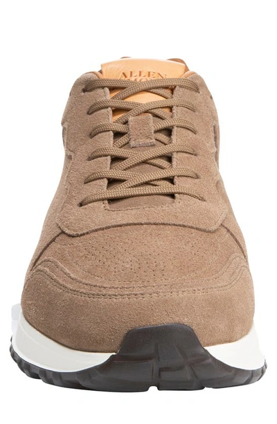 Shop Allen Edmonds Lightyear Sneaker In Smoke Suede
