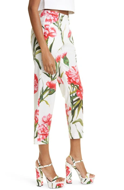 Shop Dolce & Gabbana Carnation Print Stretch Cotton Crop Pants In Natural White