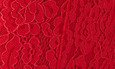 B.tempt'd By Wacoal Ciao Bella Lace Bodysuit In Hibiscus