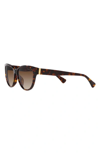 Shop Ralph 56mm Gradient Oval Sunglasses In Shiny Hava
