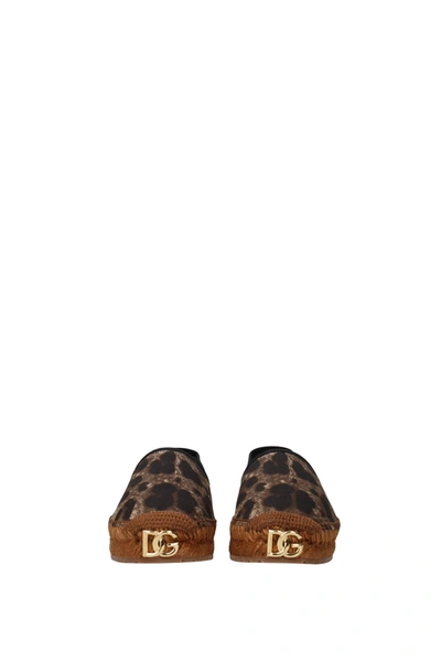 Shop Dolce & Gabbana Espadrilles Fabric Brown Leopard
