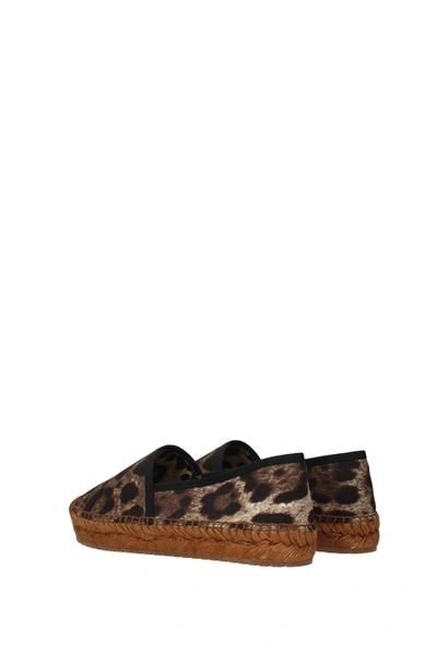 Shop Dolce & Gabbana Espadrilles Fabric Brown Leopard