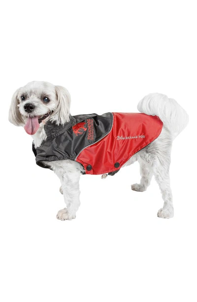 Shop Petkit Touchdog Subzero-storm Waterproof 3m Reflective Dog Coat In Red