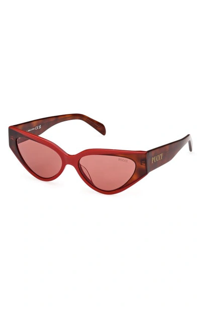 Shop Emilio Pucci 55mm Cat Eye Sunglasses In Red/ Other / Bordeaux
