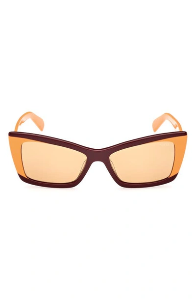Shop Emilio Pucci 54mm Geometric Sunglasses In Bordeaux/ Other / Brown