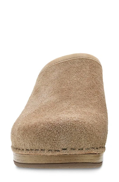 Shop Dansko Brenna Clog In Sand Full Grain Suede