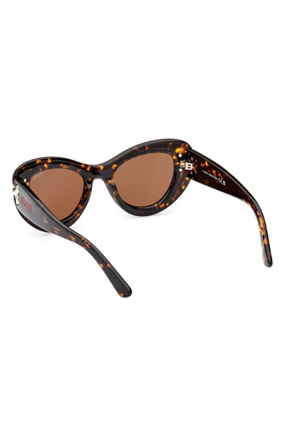 Shop Emilio Pucci 50mm Small Cat Eye Sunglasses In Dark Havana / Brown