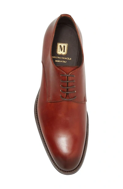 Bruno Magli Cilo Leather Derby In Cognac