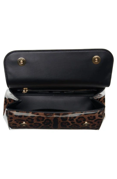 Dolce & Gabbana Top Handle Leopard Print Leather Bag In Leo Print Calf Hair