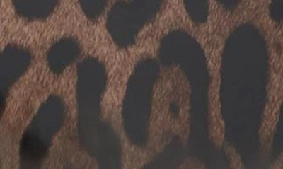 Shop Dolce & Gabbana Kim Sicily Leopard Print Handbag In Leo Print Calf Hair