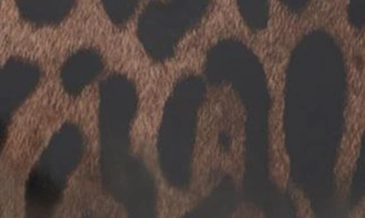 Dolce & Gabbana Top Handle Leopard Print Leather Bag In Leo Print Calf Hair
