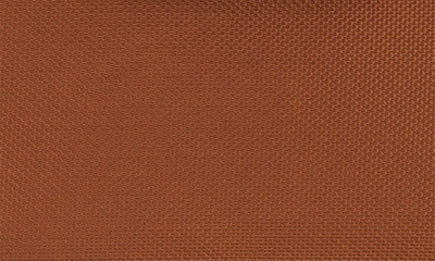 Longchamp Coin Purse Le Pliage Green In Cognac