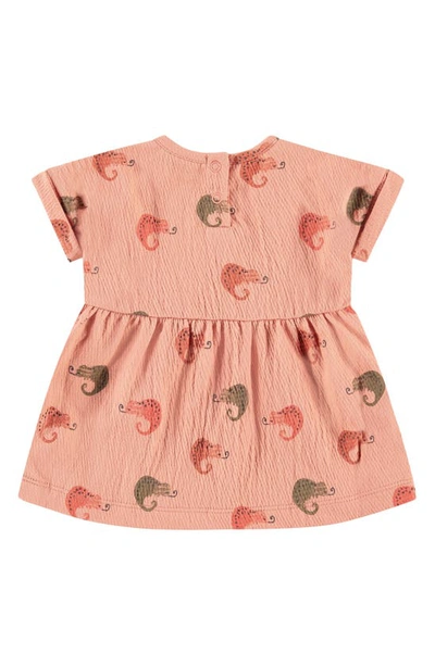 Babyface Chameleon Print Dress In Salmon