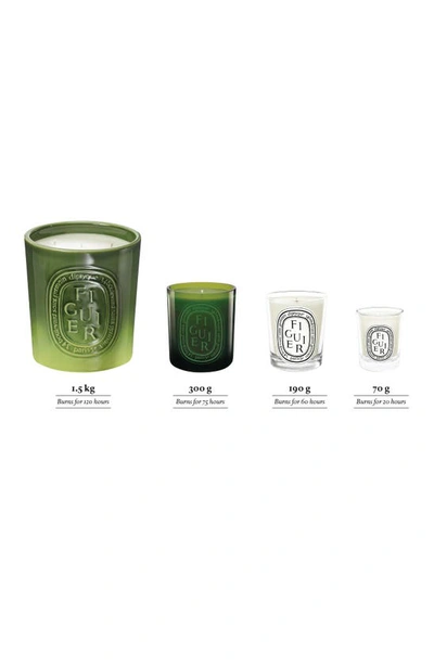 Shop Diptyque Figuier (fig) Scented Candle, 6.5 oz In Clear Vessel