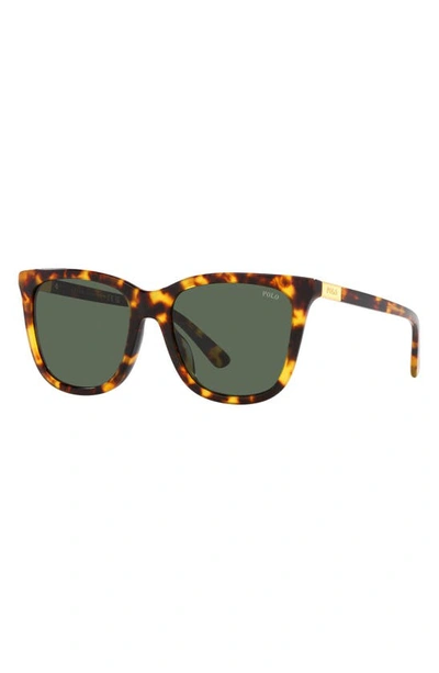 Shop Polo Ralph Lauren 55mm Square Sunglasses In Brown Multi