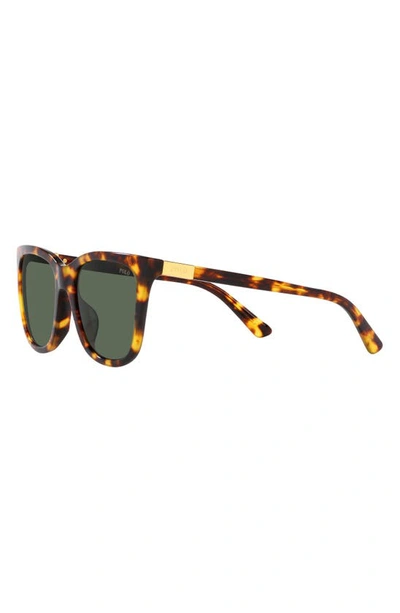Shop Polo Ralph Lauren 55mm Square Sunglasses In Brown Multi