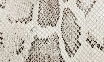 Shop Aimee Kestenberg Zen Convertible Crossbody In Almond Snake Print