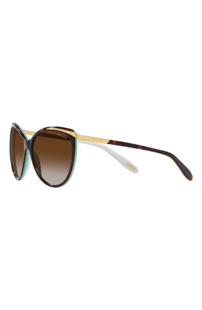 Shop Ralph 59mm Gradient Cat Eye Sunglasses In Brown Gradient