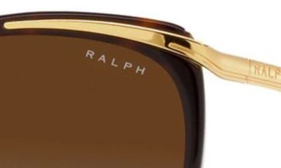 Ralph 59mm Gradient Cat Eye Sunglasses In Brown Gradient