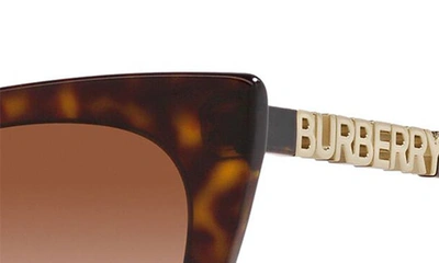 Shop Burberry 52mm Cat Eye Sunglasses In Dark Havana