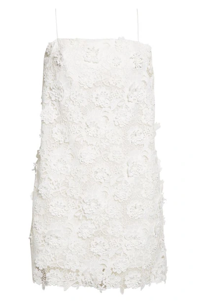 Shop Zimmermann Raie Floral Appliqué Lace Dress In Ivory