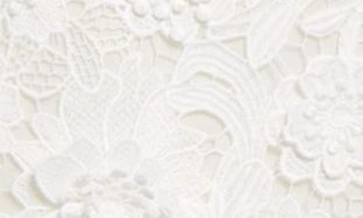 Shop Zimmermann Raie Floral Appliqué Lace Dress In Ivory
