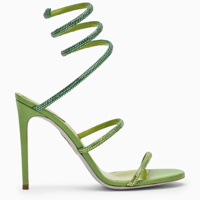 Shop René Caovilla Green Cleo High Sandal
