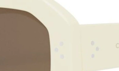 Celine Bold 3 Dots In Ivory / Brown