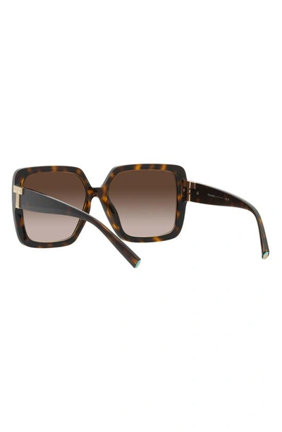 Shop Tiffany & Co 58mm Gradient Square Sunglasses In Havana