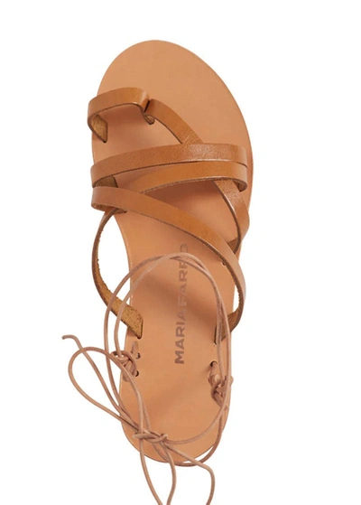 Shop Maria Farro Kronos Sandal In Brown
