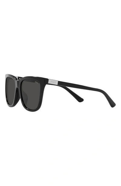Shop Polo Ralph Lauren 55mm Square Sunglasses In Shiny Black