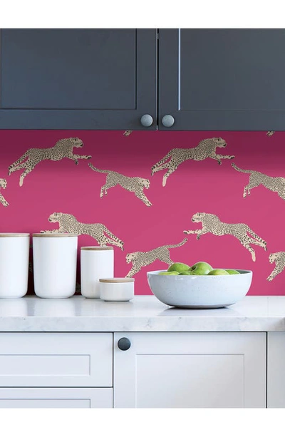 Shop Wallpops Cheetah Print Wallpaper In Pink