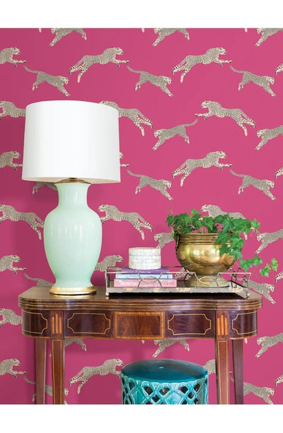 Wallpops Cheetah Print Wallpaper In Pink