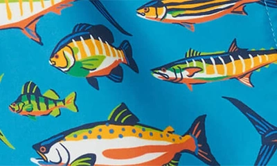Shop Hatley Kids' Lots Of Fish Swim Trunks In Blue
