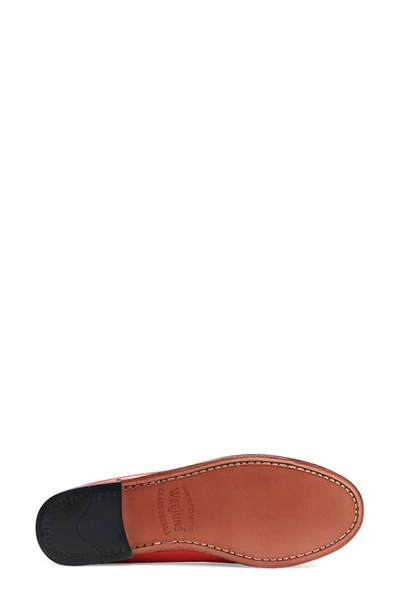 Shop Gh Bass Whitney Weejuns® Penny Loafer In Paprika