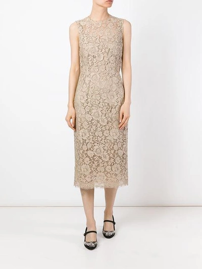 Shop Dolce & Gabbana Floral Lace Fitted Dress