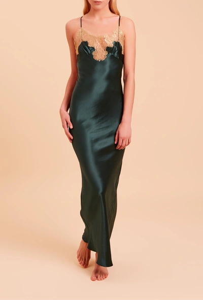 Gilda & Pearl Gina Long Slip