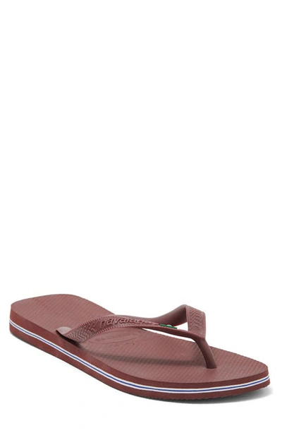 Shop Havaianas Brazil Flip Flop In Grape Wine