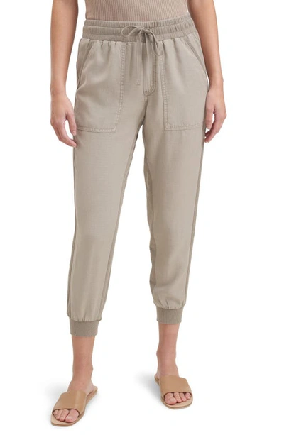 Shop Splendid Lakeside Jogger Pants In Fawn