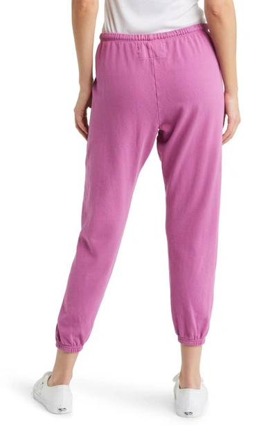 Shop Freecity Large Logo Sweatpants In Pinklips
