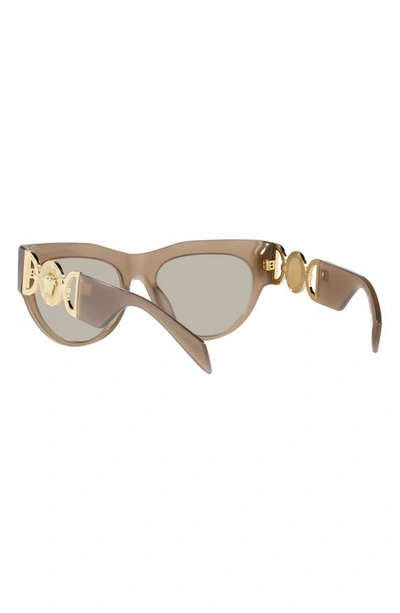 Shop Versace 56mm Cat Eye Sunglasses In Opal Brown