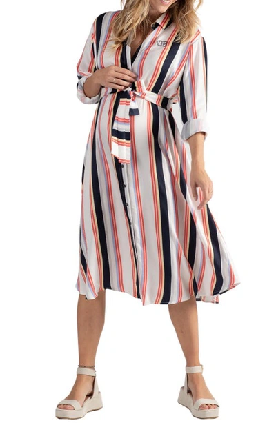 Shop Cache Coeur Normandie Stripe Maternity/nursing Shirtdress In Red Marine