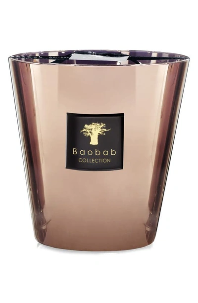 Shop Baobab Collection Les Exclusives Cyprium Max Candle In Cyprium-medium