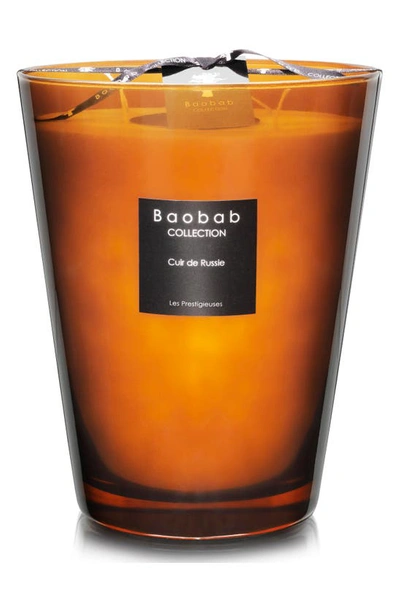 Shop Baobab Collection Les Prestigieuses Cuir De Russie Candle In Brown-large