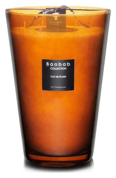 Shop Baobab Collection Les Prestigieuses Cuir De Russie Candle In Brown-extra Large