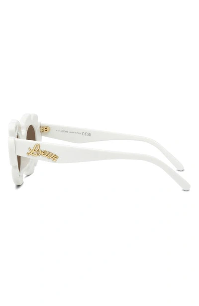 Shop Loewe X Paula's Ibiza Flower 47mm Small Cat Eye Sunglasses In White / Brown