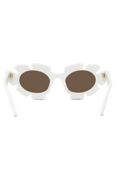 Shop Loewe X Paula's Ibiza Flower 47mm Small Cat Eye Sunglasses In White / Brown