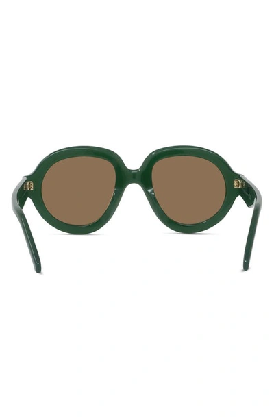 Shop Loewe Curvy 49mm Pilot Sunglasses In Shiny Dark Green / Brown