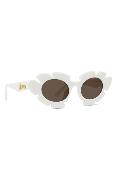 Shop Loewe X Paula's Ibiza Flower 47mm Small Cat Eye Sunglasses In White / Brown