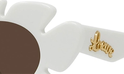 Shop Loewe X Paula's Ibiza Flower 47mm Small Cat Eye Sunglasses In White / Brown